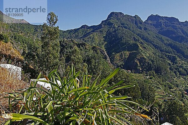 Serre de Agua  Madeira  Portugal  Europa