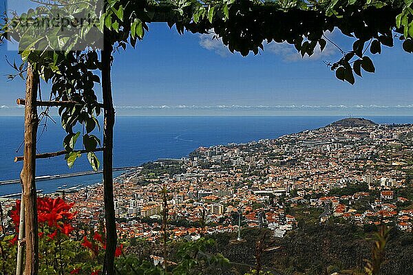 Funchal  Insel Madeira  Portugal  Europa