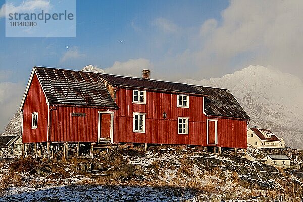 Hafen  Henningsvaer  Lofoten  Norwegen  Europa