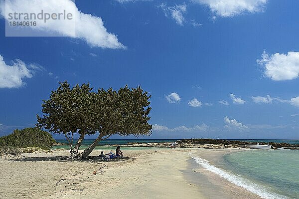 Elafonisi Beach  Südwestküste  Kreta  Griechenland  Europa