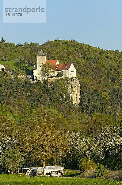 Burg Prunn  aus der Zeit um 1200  oberhalb des Main-Donau-Kanals  April  Riedenburg  Altmühltal  Franken  Bayern  Deutschland  Europa