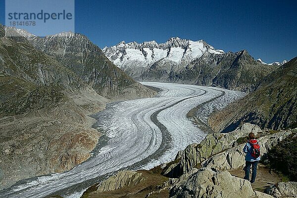 Aussichtspunkt Moosfluh  Blick auf den Aletschgletscher  Großer Aletschgletscher  Wallis  Schweiz  Europa