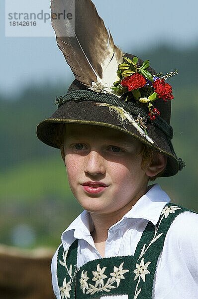 Viehscheid  Bad Hindelang  Allgäu  Bayern  Deutschland  Europa