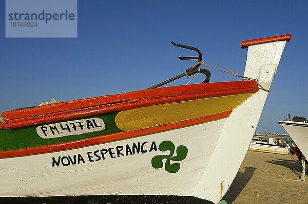 Traditionelle Fischerboote  Algarve  Portugal  Europa