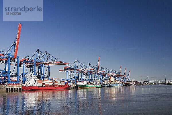 Containerschiffe und Feeder am HHLA Container Terminal Altenwerder  CTA  Hamburg  Deutschland  Europa