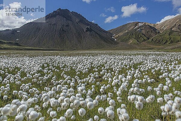 F208  Eldja  Landmannalaugar  Island  Europa