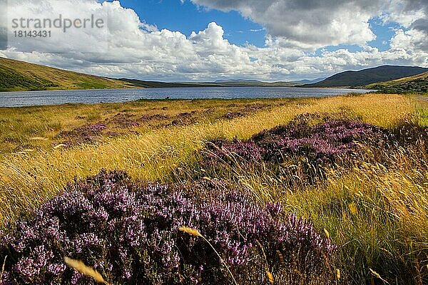 Nordwest Highlands  Sutherland  Schottland  UK