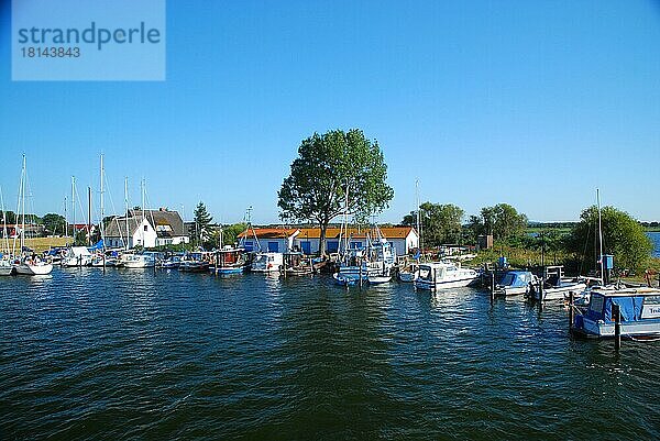 Ostsee  Ostseeinsel  Hiddensee  Hafen  Kloster  Mecklenburg-Vorpommern  Deutschland  Europa