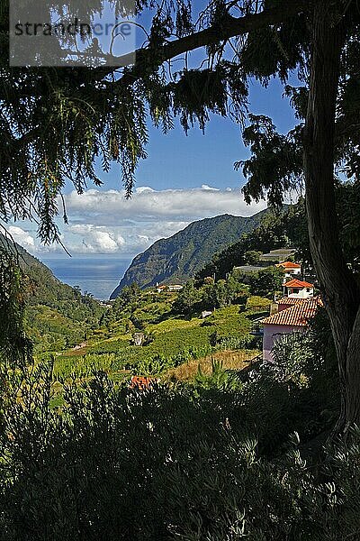 Sao Vicente  Insel Madeira  Portugal  Europa