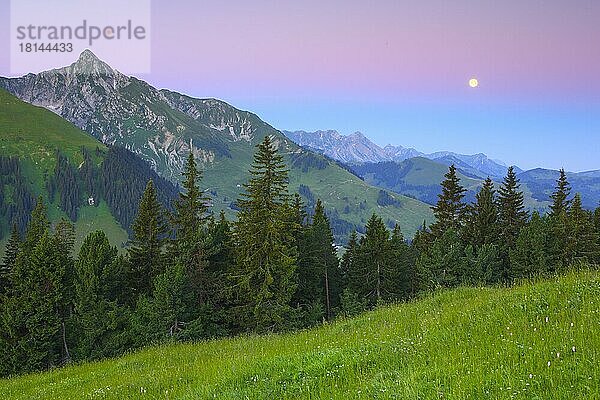 Schweizer Voralpen am Gurnigelpass  Bern  Schweiz  Europa