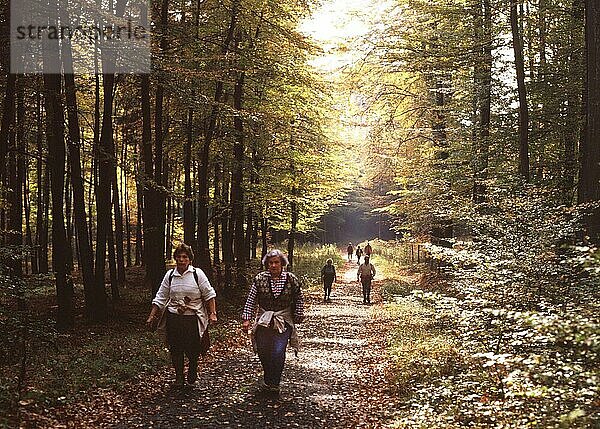 Sauerland. Herbstwald mit Spaziergängern. 10/1988