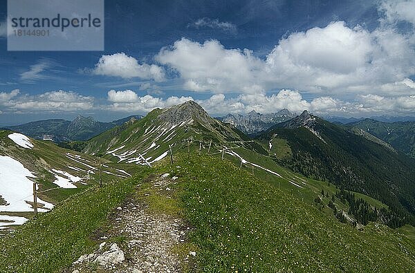 Sulzspitze  Tannheimer Tal  Tirol  Österreich  Europa