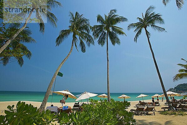 Palmenstrand  Südthailand  Chaweng Beach  Insel Ko Samui  Thailand  Asien