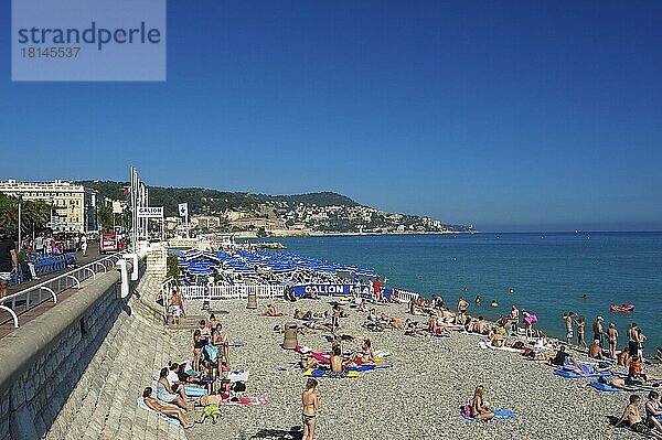 Promenade des Anglais  Nizza  Cote d'Azur  Alpes-Maritimes  Provence-Alpes-Cote d'Azur  Frankreich  Europa