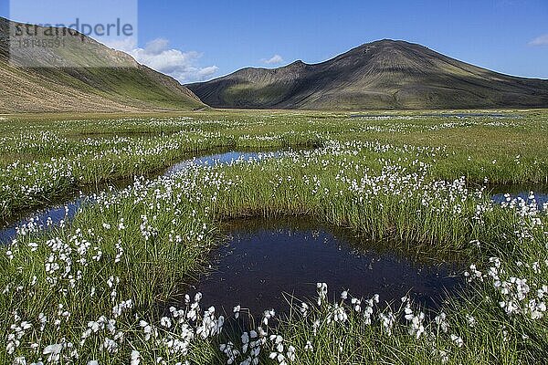 F208  Eldja  Landmannalaugar  Island  Europa