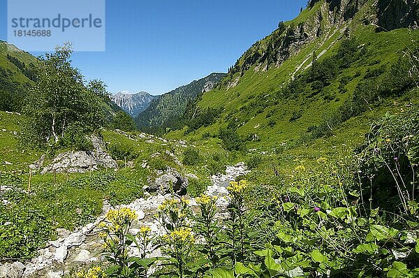 Weg zum Prinz-Luitpold-Haus  Hintersteiner Tal  Bad Hindelang  Bayern  Deutschland  Europa