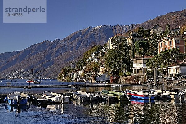 Bootssteg  Monte Verita und Moscia  Ascona  Lago Maggiore  Tessin  Ticino  Langensee  Schweiz  Europa