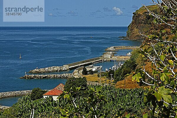 Fischerei- und Yachthafen von Calheta  Madeira  Portugal  Europa