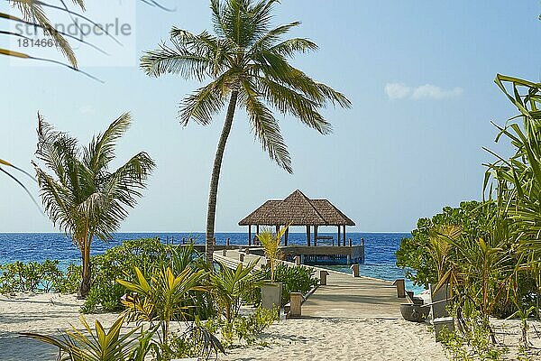 Anlegesteg  Palmen  Malediven Insel  Malediveninsel  Filaidhoo  Raa Atoll  Indischer Ozean