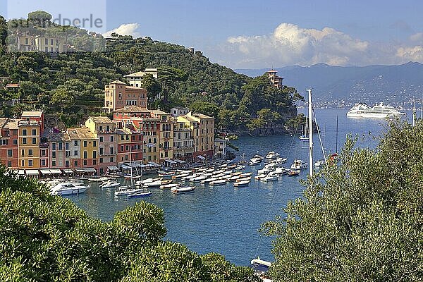 Hafen  Portofino  Golf von Tigullien  Provinz Genua  Ligurien  Golfo del Tigullio  Italien  Europa