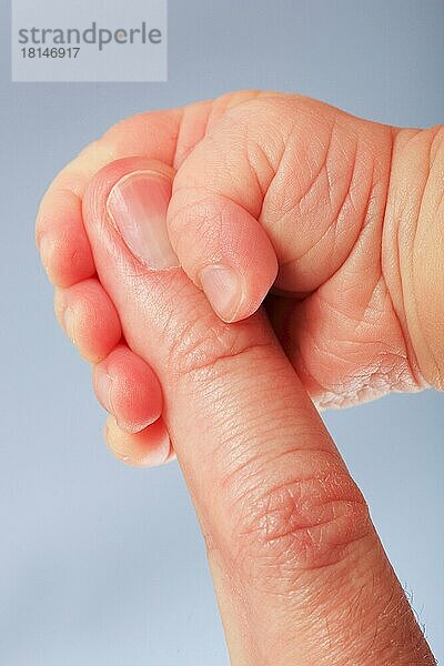 Babyhand umgreift Finger eines Erwachsenen
