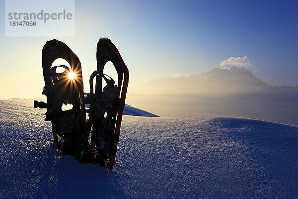 Schneeschuhe im Schnee  Blick auf Fusshörner  Aletschgebiet  Schweiz  Europa