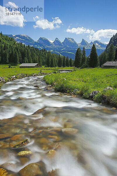 Churfirsten  Alp Laui  Toggenburg  Schweiz  Europa