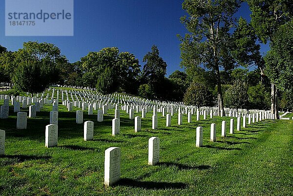 Grabsteine  Nationalfriedhof Arlington  Arlington  Virginia  USA  Nordamerika