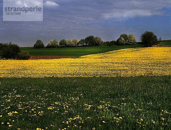 Sauerland. Frühling 1989