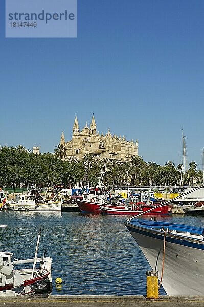 Kathedrale La Seu  Fischerhafen  Palma de Mallorca  Mallorca  Balearen  Spanien  Europa