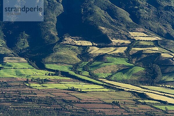 Agrarland an den Hängen von Vulkan Cotacachi  Provinz Imbabura  Ekuador