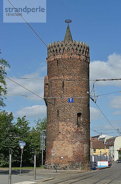 Plauer Torturm  Plauer Straße  Brandenburg an der Havel  Brandenburg  Deutschland  Europa