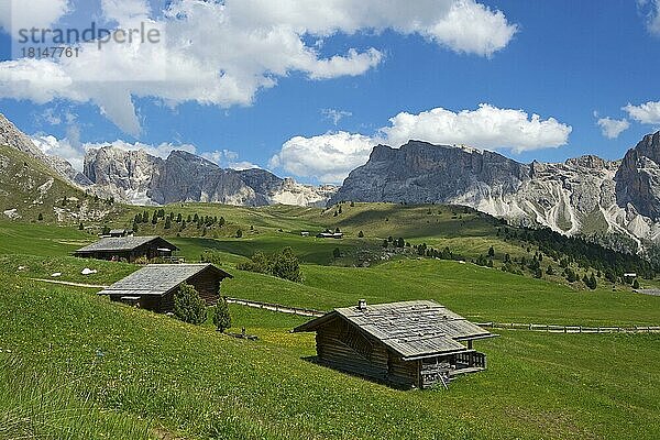 Alm auf der Seceda  Grödnertal  Dolomiten  Trentino Südtirol  Italien  Europa