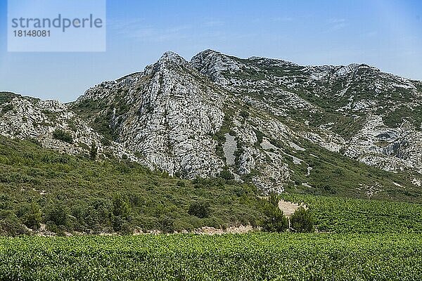 Alpilles  Les Beaux de Provence  Provence  Provence-Alpes-Cote d'Azur  Alpillen  Frankreich  Europa