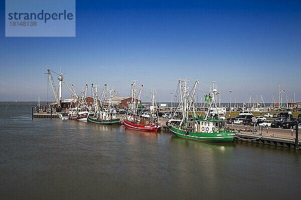 Krabbenkutter im Hafen  Greetsiel  Leybucht  Krummhörn  Ostfriesland  Niedersachsen  Deutschland  Europa