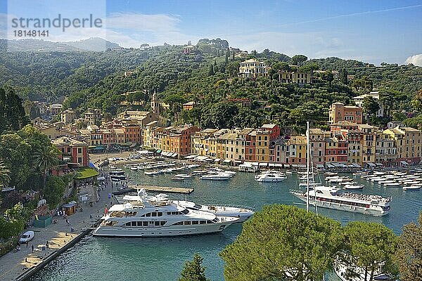 Hafen  Portofino  Golf von Tigullien  Provinz Genua  Ligurien  Golfo del Tigullio  Yacht  Italien  Europa