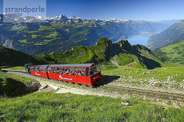 Brienz Rothorn Bahn  Blick vom Brienzer Rothorn  Brienzer See  Bern  Berner Oberland  Schweiz  Europa
