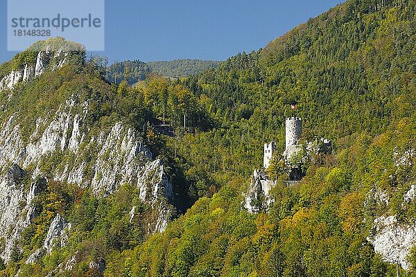 Ruine Neu-Falkenstein und Aussichtsberg Holzfluh  Regionaler Naturpark Thal  Solothurn  Schweiz  Europa