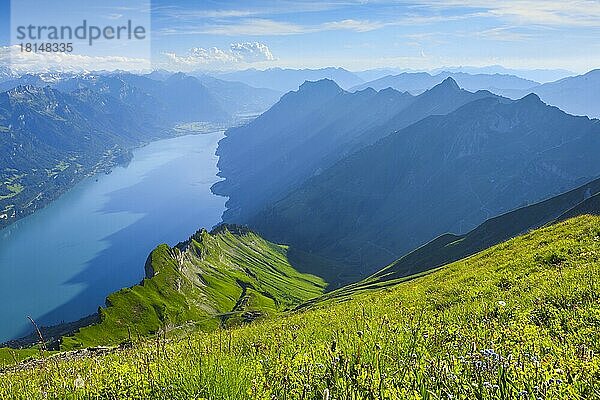 Blick vom Brienzer Rothorn  Brienzersee  Schweiz  Europa