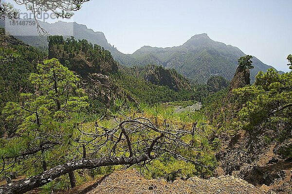 Parque Nacional de la Caldera de Taburiente  La Palma  Kanarische Inseln  Spanien  Europa