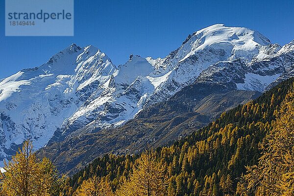 Piz Bernina  4049 m  Piz Morteratsch  3751  Biancograt  Oberengadin  Graubünden  Schweiz  Europa