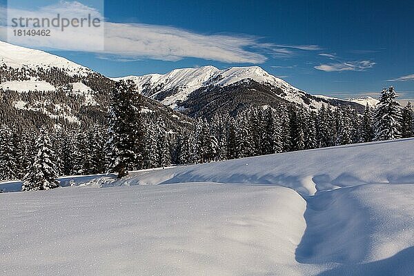 Neukirchen  Salzburger Land  Österreich  Europa