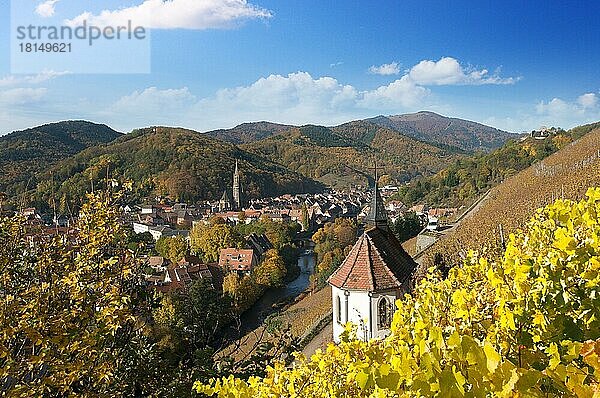 Kapelle St. Urban in den herbstlichen Weinbergen von Thann  Elsass  Frankreich  Europa