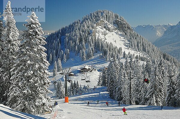 Bergwald  Skigebiet  Skipiste  Kreuzeck  Bayern  Werdenfels  Garmisch-Partenkirchen  Deutschland  Europa