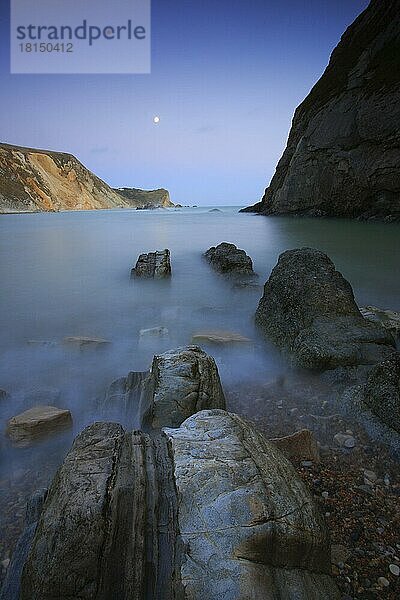 Kreidefelsenküste  Weltnaturerbe Juraküste  Dorset  England  Großbritannien  Europa