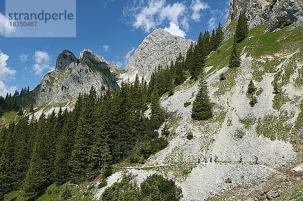 Schutthalde unterhalb der Köllenspitze  Tannheimer Berge  Tannheimer Tal  Tirol  Österreich  Europa