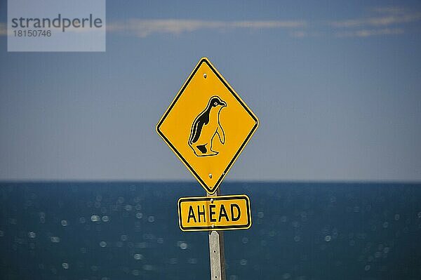 Verkehrsschild Pinguin voraus  Kangaroo Island  Südaustralien  Australien  Ozeanien