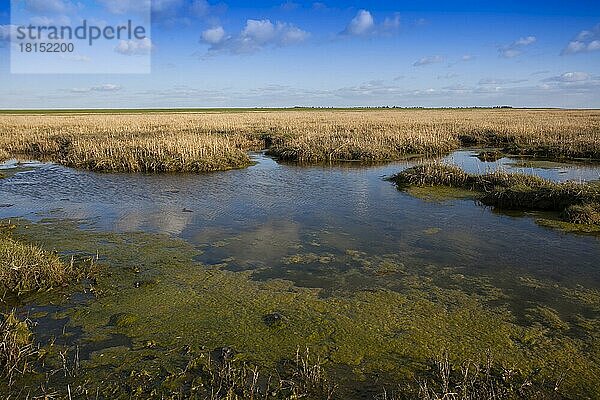 Nationalpark  Wattenmeer  Nordsee  Insel  Mandö  Jütland  Weltkulturerbe  Dänemark  Europa