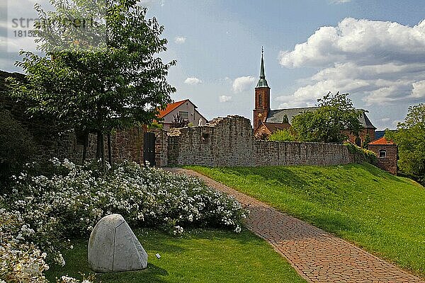 Ruinen der mittelalterlichen Stadtmauer  katholische Kirche  erbaut 1734-1737  Dilsberg  Ortsteil von Neckargemünd  Rhein-Neckar-Kreis  Baden-Württemberg  Neckargemünd  Deutschland  Europa