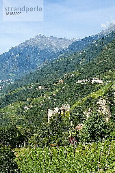 Blick auf Algund mit Schloss Brunnenburg  Etschtal  Südtirol  Italien  Europa